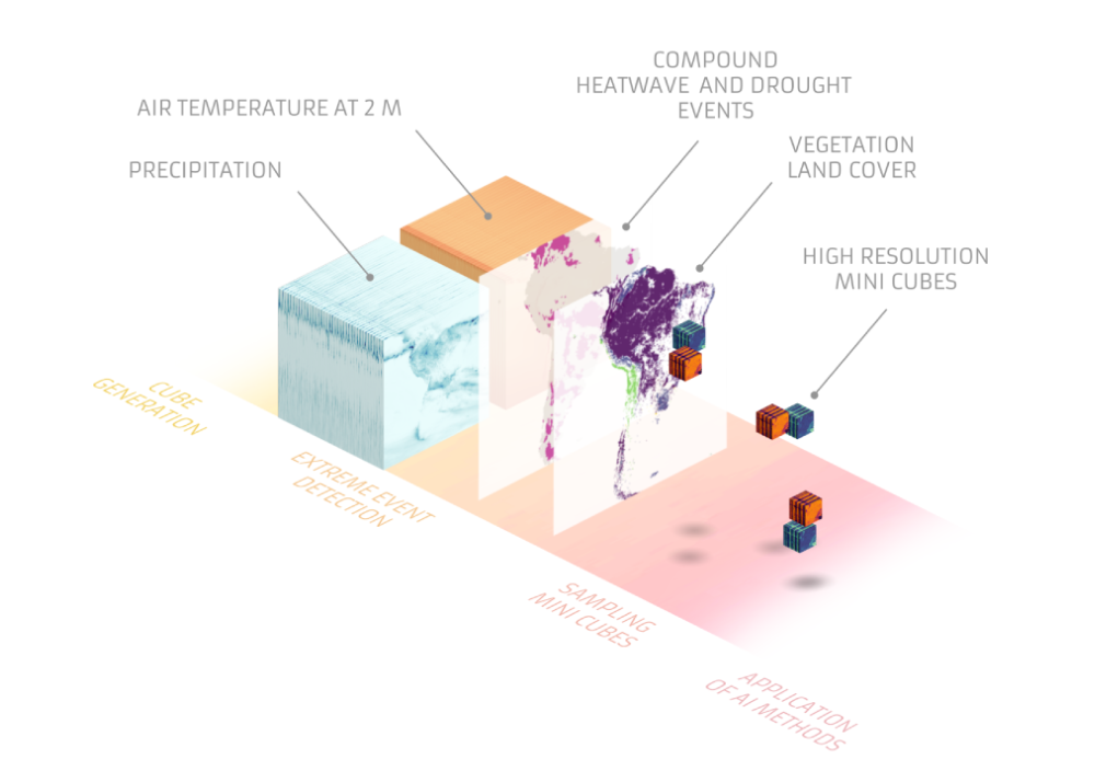 Earth System Data Cubes