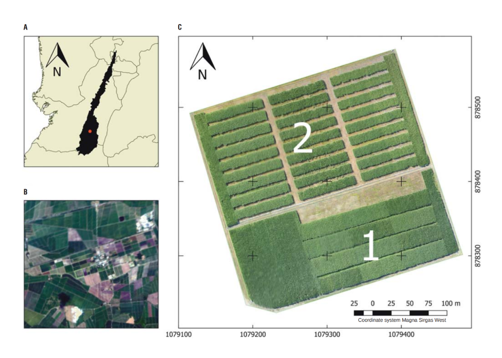 Evaluation of a NIR camera